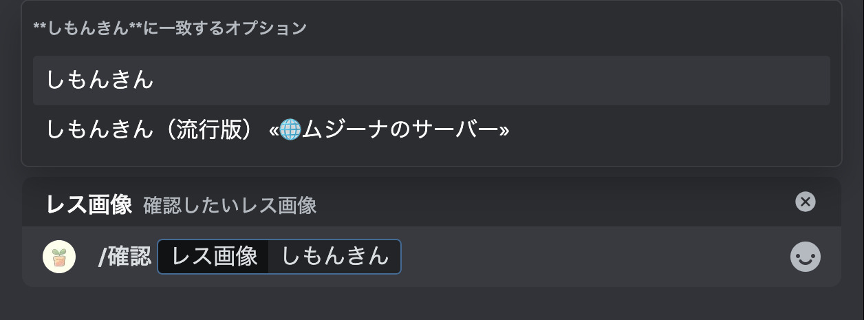 確認コマンドを入力中の画面
